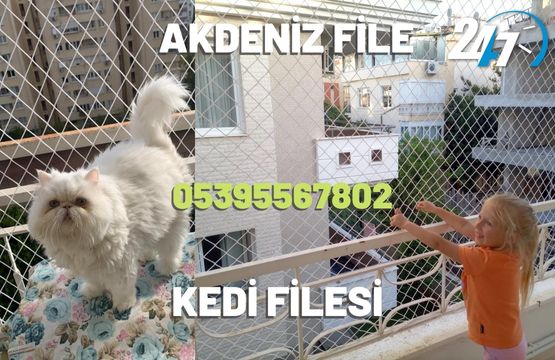 Kedi Filesi, Kedi Güvenlik Filesi