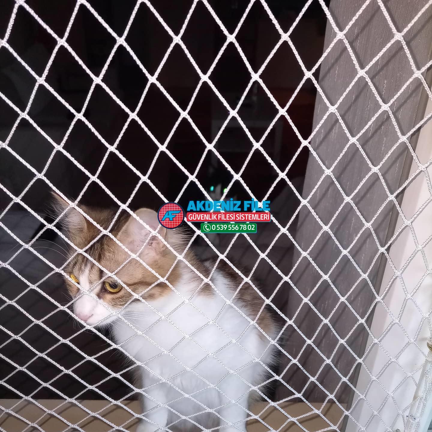 Antalya  Kedi Filesi, Kedi Güvenlik Filesi 0539 556 78 02