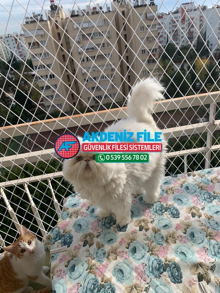 İzmir  Kedi Filesi, Kedi Güvenlik Filesi 0539 556 78 02