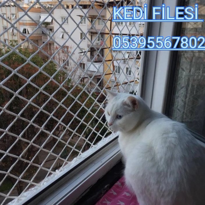 Çocuk Güvenlik Filesi Balkon Filesi Antalya www.akdenizfile.com.tr 0539 556 78 02